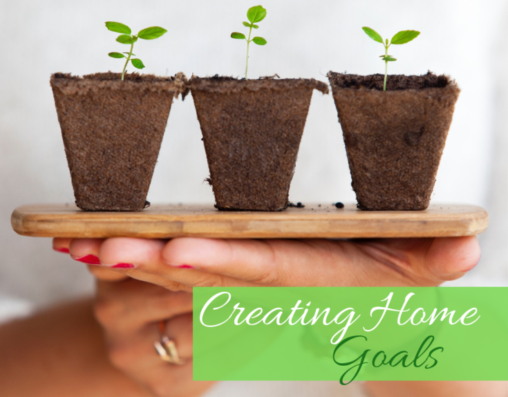 If you are a SAHM looking to create goals at home, this is the perfect blog post for that. So helpful! #goals #sahm #lifeorganization